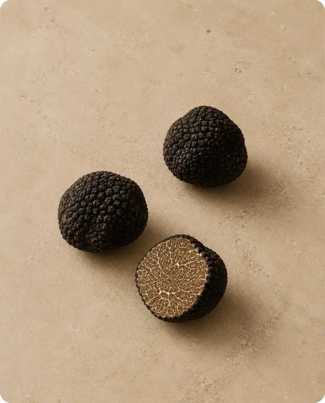 Truffes & Champignons