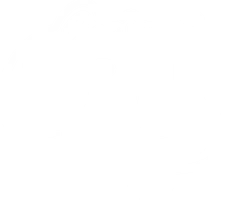 Pidy